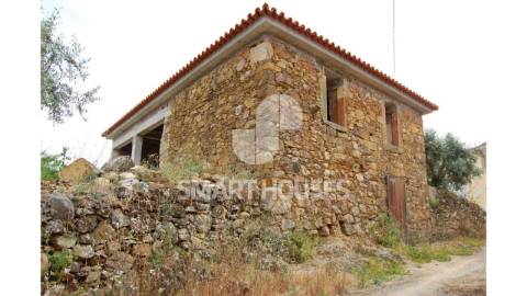 Moradia em ruínas para recuperar, com olival de...