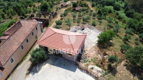 Moradia em ruínas para recuperar, com olival de...