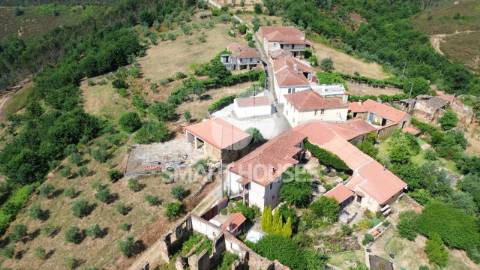 Moradia em ruínas para recuperar, com olival de...