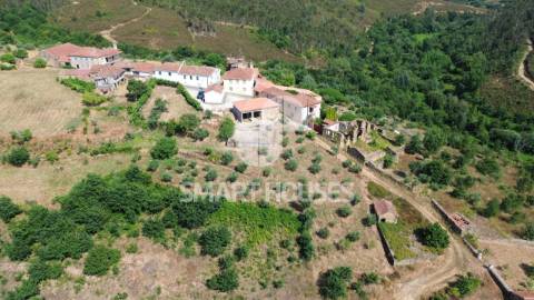 Moradia em ruínas para recuperar, com olival de...