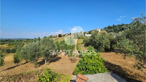 Moradia T3 para recuperar com terreno de 2.172m2...