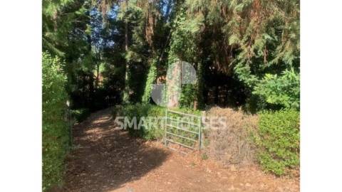 A quintinha “Porto do Barco de Cima” é uma...