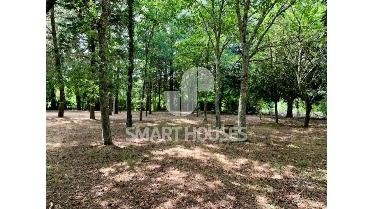 A quintinha “Porto do Barco de Cima” é uma...