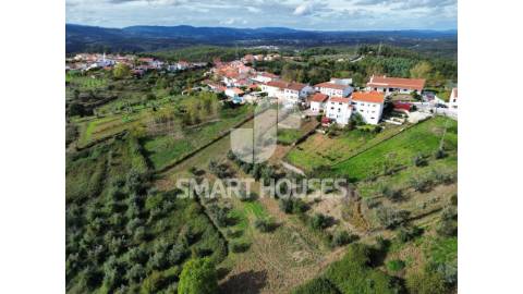 Moradia T4 em Paradela com grande terreno e...