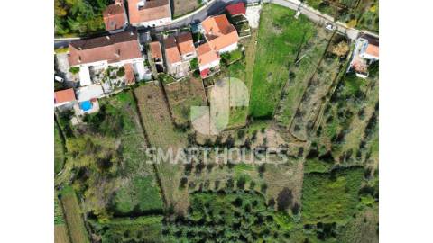 Moradia T4 em Paradela com grande terreno e...