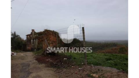 Na pacata aldeia de Covelo de Cima, concelho de...