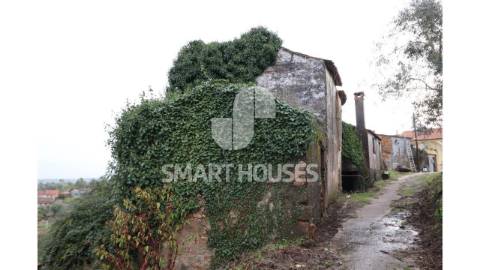 Na pacata aldeia de Covelo de Cima, concelho de...