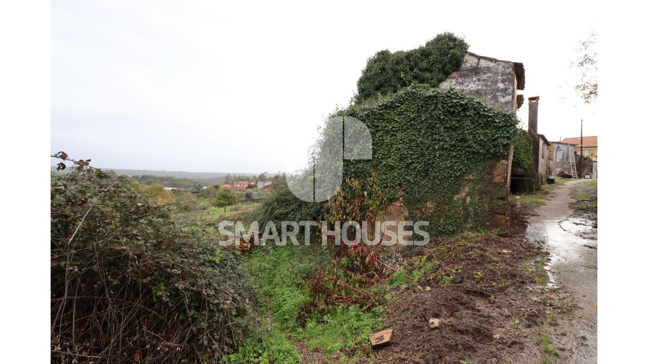 Na pacata aldeia de Covelo de Cima, concelho de...