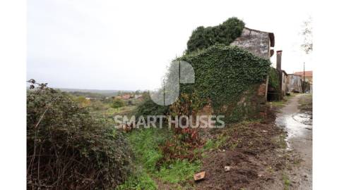 Na pacata aldeia de Covelo de Cima, concelho de...