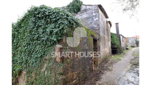 Na pacata aldeia de Covelo de Cima, concelho de...