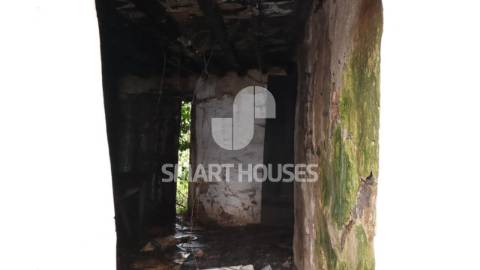 Na pacata aldeia de Covelo de Cima, concelho de...