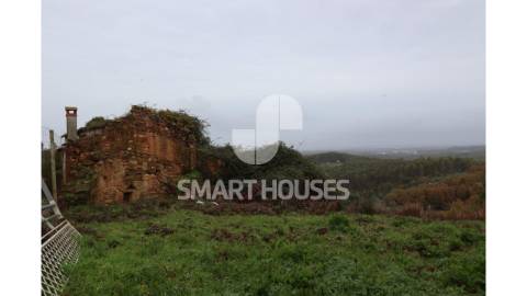 Na pacata aldeia de Covelo de Cima, concelho de...