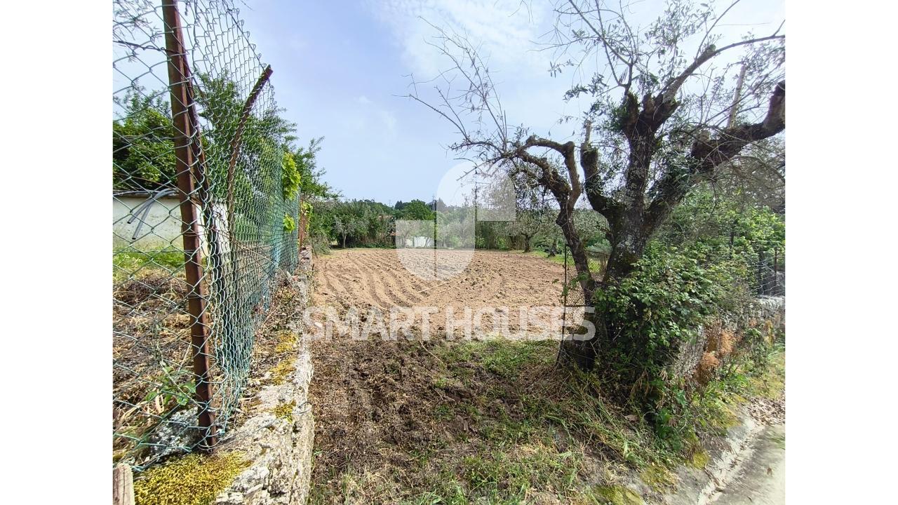 Moradia T4+1 com terreno no coração de São João...