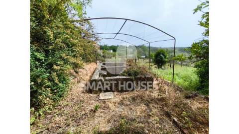 Moradia T4+1 com terreno no coração de São João...