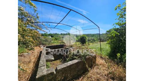 Moradia T4+1 com terreno no coração de São João...