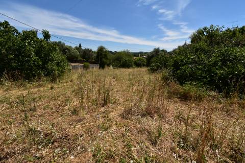 Terreno rústico com 1420 m2, com viabilidade de construção.