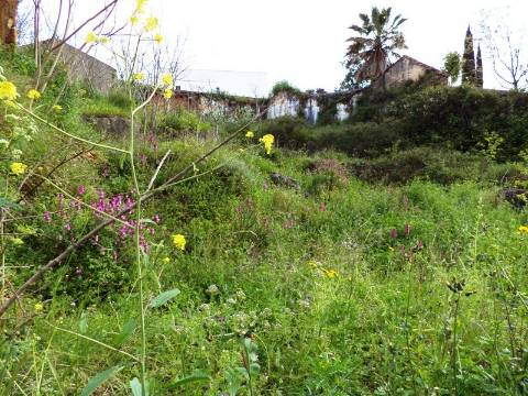 Terreno com 820 m2 com possibilidade de permuta