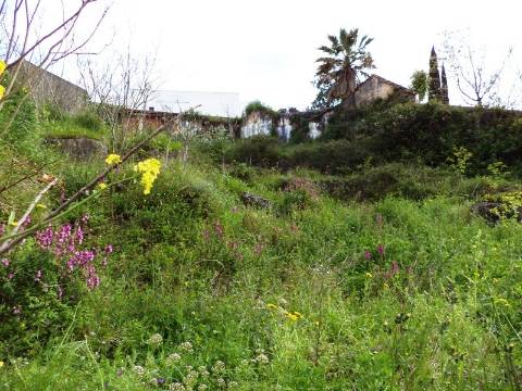 Terreno com 820 m2 com possibilidade de permuta