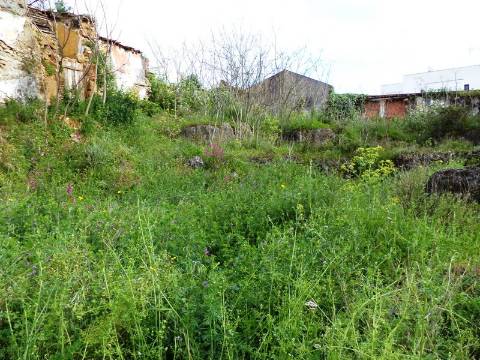 Terreno com 820 m2 com possibilidade de permuta