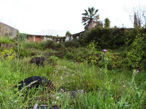 Terreno com 820 m2 com possibilidade de permuta