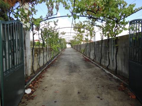 Moradia M4 com piscina