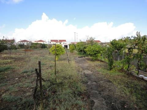 Moradia M4 com piscina