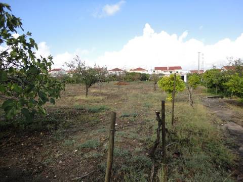 Moradia M4 com piscina