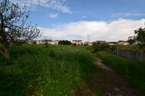 Moradia M4 com piscina