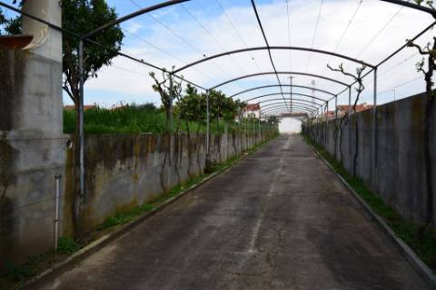 Moradia M4 com piscina