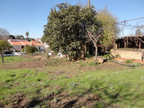 Terreno urbano com 801 m2 perto da estação dos Riachos.