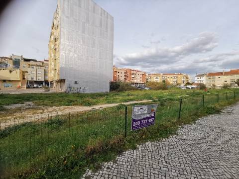 Conjunto de 4 lotes urbanos