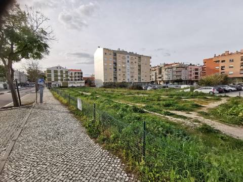 Conjunto de 4 lotes urbanos