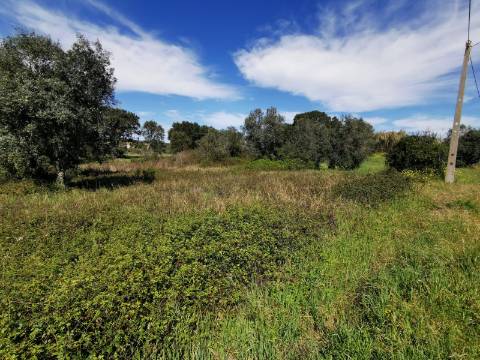 Terreno Rústico com 2200 m2