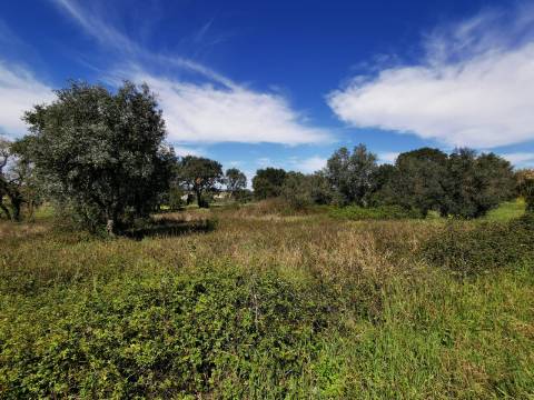 Terreno Rústico com 2200 m2