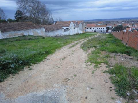 Terreno Urbano na Chamusca e Pinheiro Grande