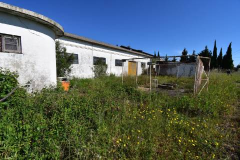 Armazém com cerca de 155 m de frente, localizado junto à estrada nacional N3