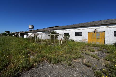 Armazém com cerca de 155 m de frente, localizado junto à estrada nacional N3