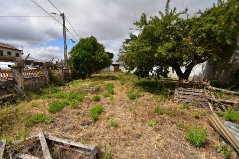 Armazém com cerca de 155 m de frente, localizado junto à estrada nacional N3