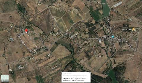 Conjunto de 2 terrenos rústicos com área total de 55.760 m2, a 10 minutos de Torres Novas.