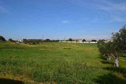 Conjunto de 2 terrenos rústicos com área total de 55.760 m2, a 10 minutos de Torres Novas.