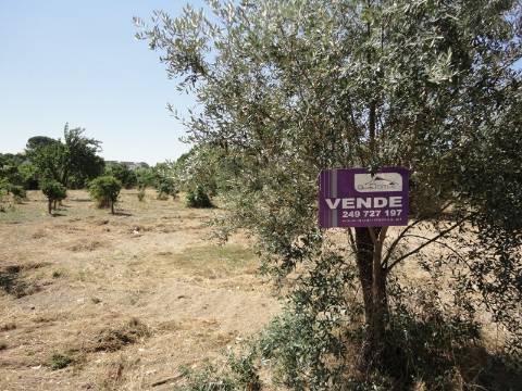 Terreno no Entroncamento para construção ou loteamento