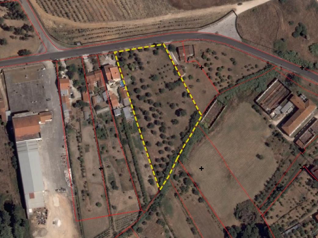 Terreno no Entroncamento para construção ou loteamento