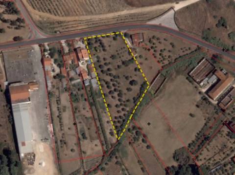 Terreno no Entroncamento para construção ou loteamento