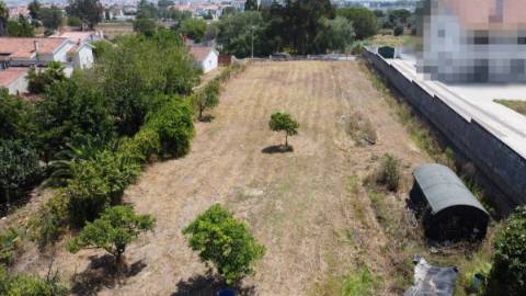 Lote de terreno urbano para construção