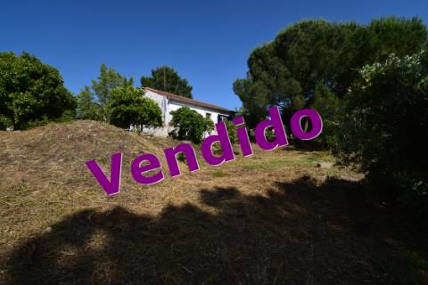 Casa de Campo, semi-remodelada, com terreno e anexos