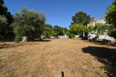 Casa de Campo, semi-remodelada, com terreno e anexos