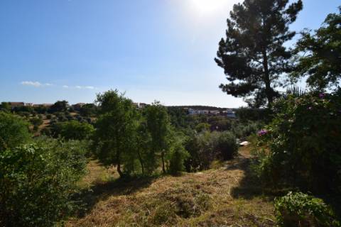 Casa de Campo, semi-remodelada, com terreno e anexos