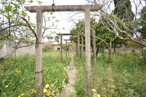 Moradia M4 Independente