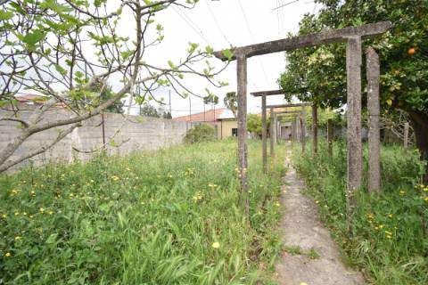 Moradia M4 Independente