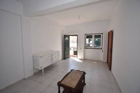 Moradia T5 com boxes para cavalos